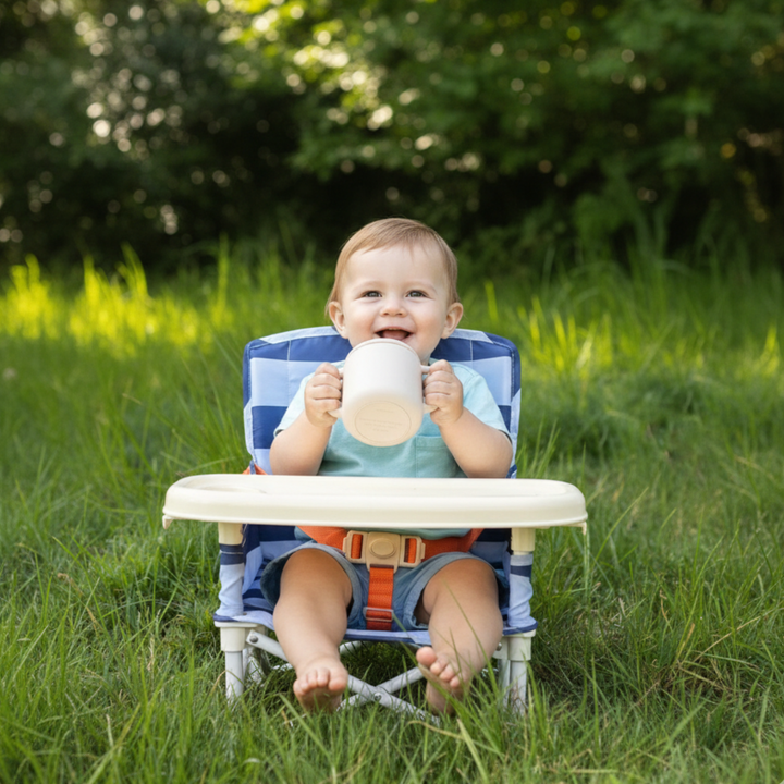 Navy &amp; Light Blue Baby Chair