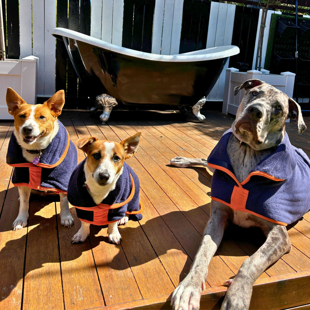 Dog Drying Coat