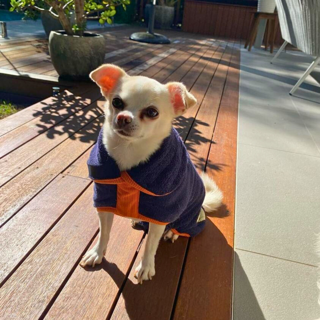 Dog Drying Robe - Small