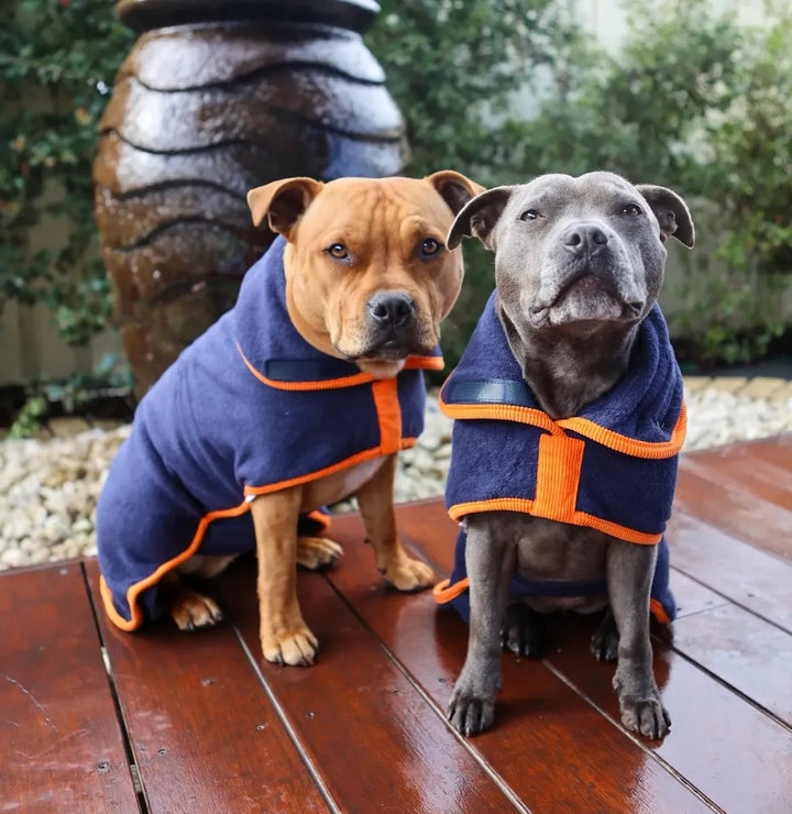 Dog Drying Coat 