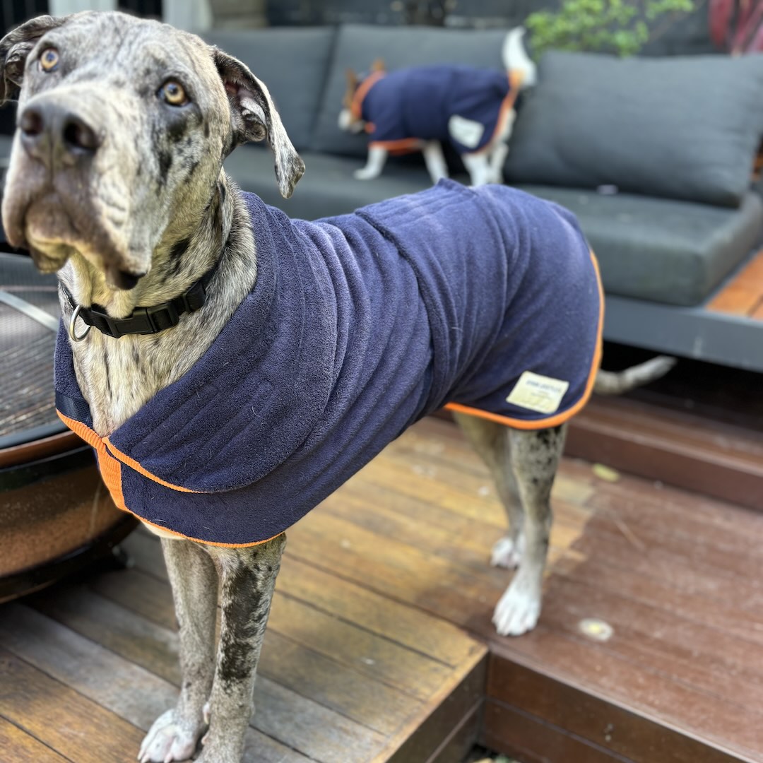 Dog Drying Coat 