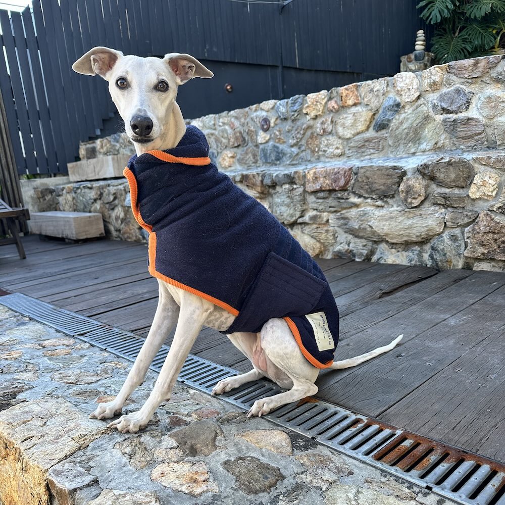 Dog Drying Coat 