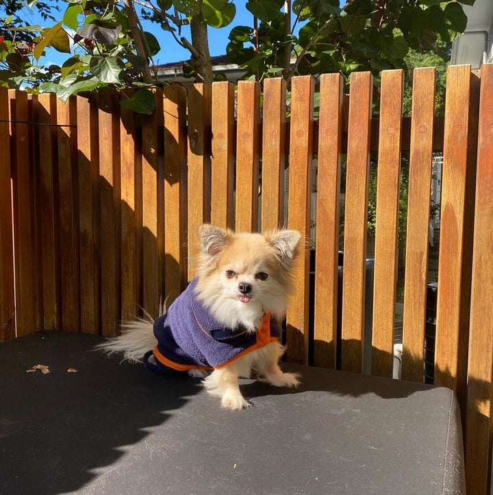 Dog Drying Coat 